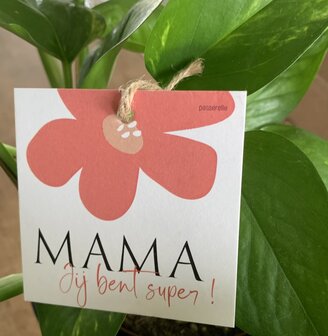 Moederdag Looks Mama jij bent super !