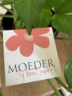 Moederdag Looks Moeder jij bent super !