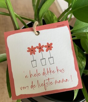 Moederdag Looks &#039;n hele dikke kus voor de liefste mama !