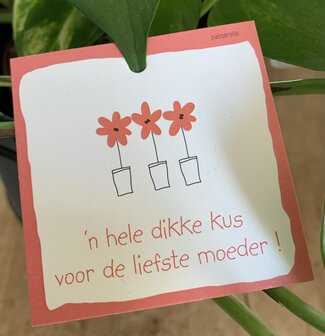 Moederdag Looks &#039;n hele dikke kus voor de liefste moeder !