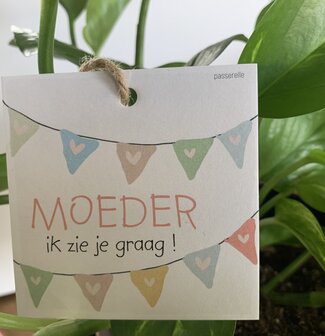 Moederdag-Looks-Moeder ik-zie-je-graag