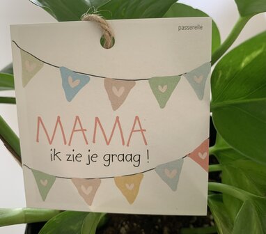 Moederdag-Looks-Mama ik-zie-je-graag