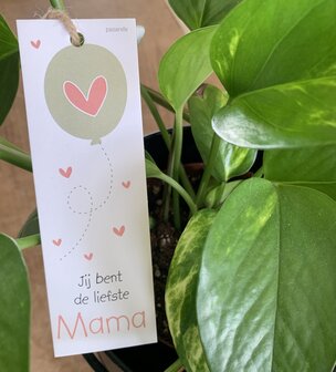 Moederdag-Looks-Jij bent de liefste mama ballon