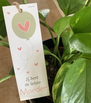 Moederdag-Looks-Jij bent de liefste moeder ballon