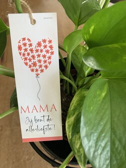 Moederdag-Looks-Mama jij bent de allerliefste