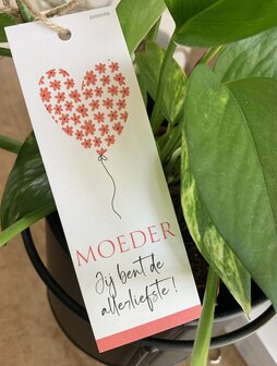 Moederdag-Looks-Moeder jij bent de allerliefste