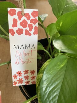 Moederdag-Looks-Mama jij bent de beste