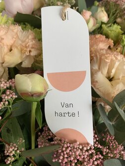 Nono Van harte !