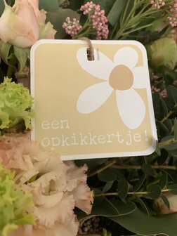 Power een opkikkertje